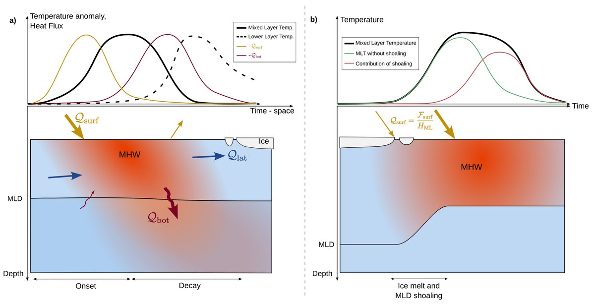 New paper examines drivers of marine heatwaves in the Arctic, which have intensified in recent decades: agupubs.onlinelibrary.wiley.com/doi/10.1029/20… #marineheatwaves #MHWs