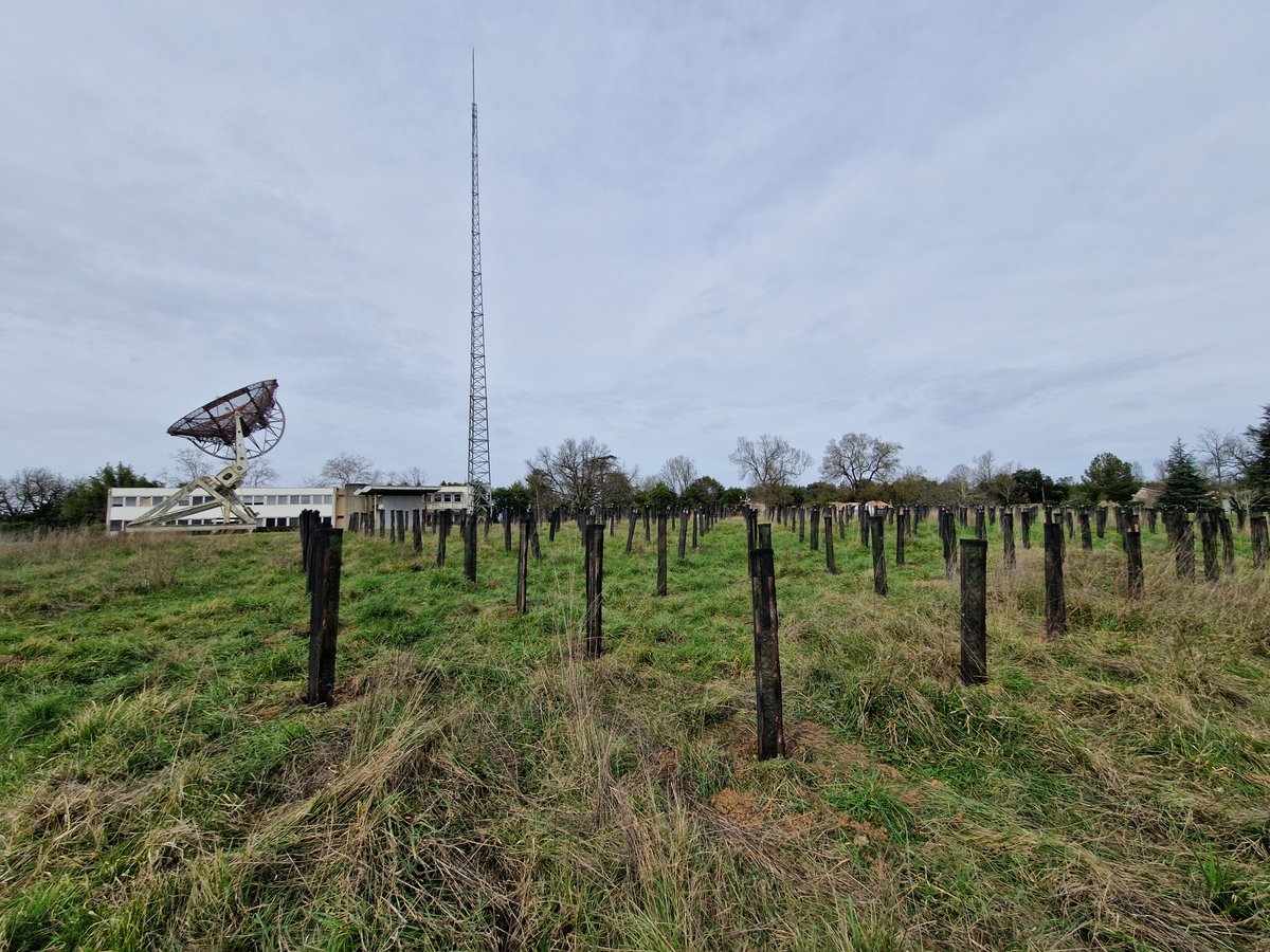 Forêt expérimentale de l'Université de Bordeaux tweet media
