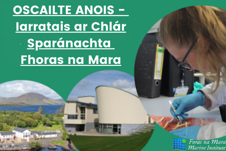MarineInst's tweet photo. 📢OSCAILTE ANOIS - Iarratais ar Chlár Sparánachta Fhoras na Mara.
Cliceáil anseo ➡️https://t.co/a6U6OXluDS le haghaidh liosta de na sparánachtaí atá ar fáil agus foirm iarratais ar líne a fháil.
#Marine #3rdlevel #bursary #science #workexperience #Marineinstitute #summerjobs https://t.co/DjU6e5CFNr