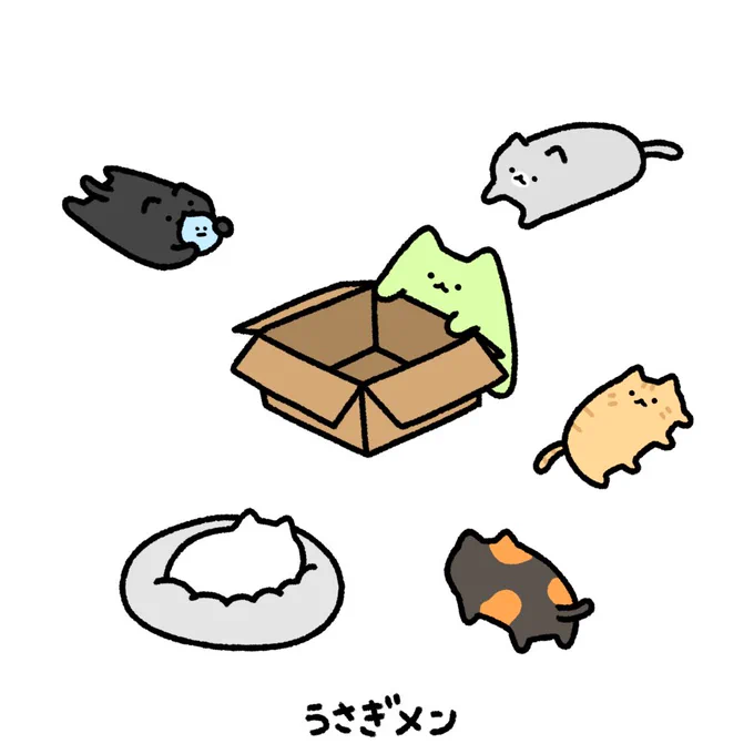 ダンボールの良さを知るネコエイリアン 
