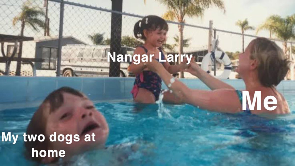 mitchellbeer (@beermitchell) on Twitter photo 