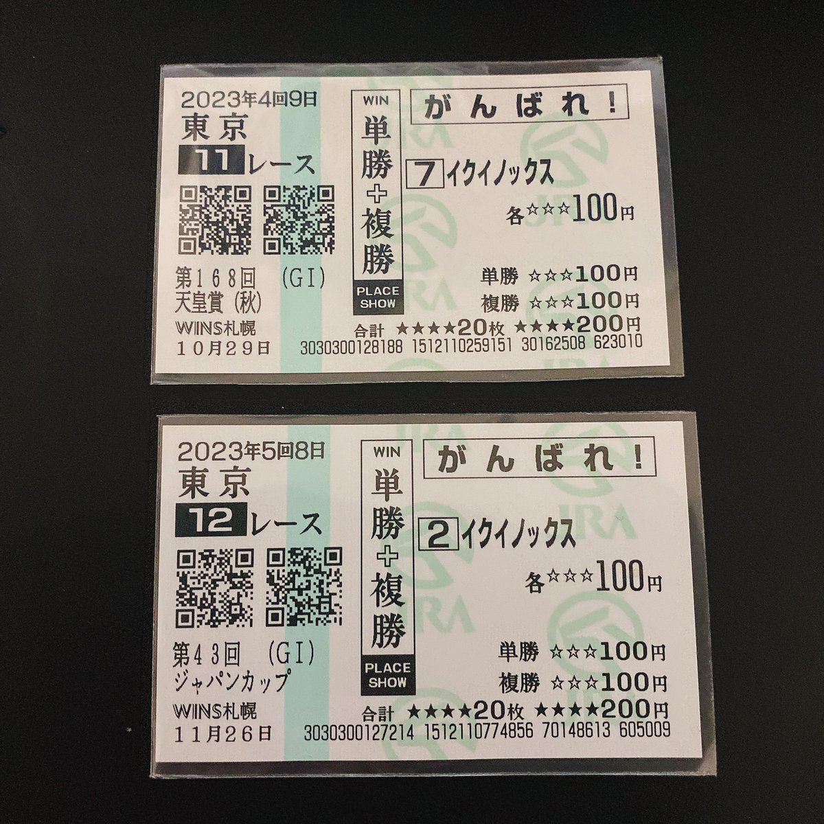 馬券コレクション ダイソーで見つけたチェキ用スリーブ、馬券コレクションするのに