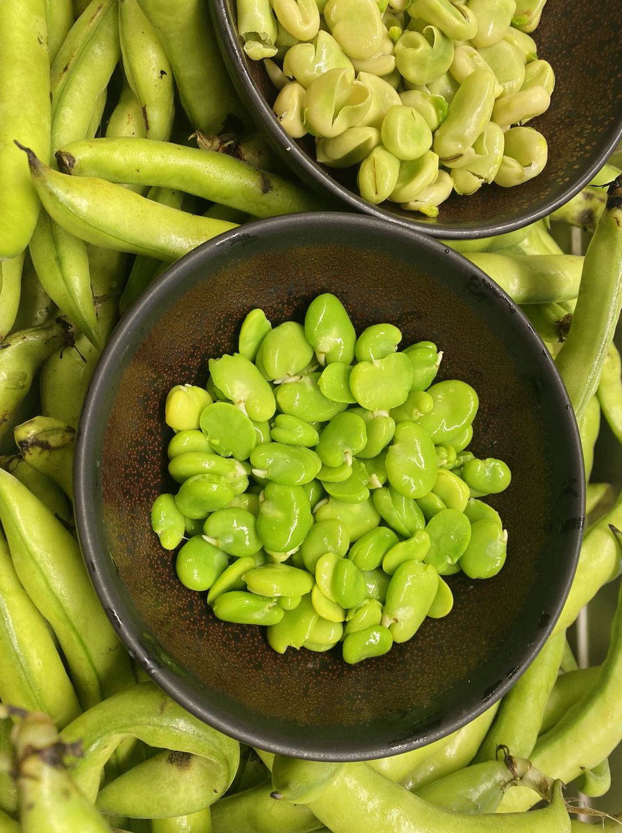 Rinnerron tweet media