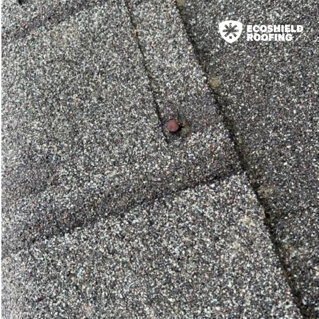 EcoShield Roofing tweet media