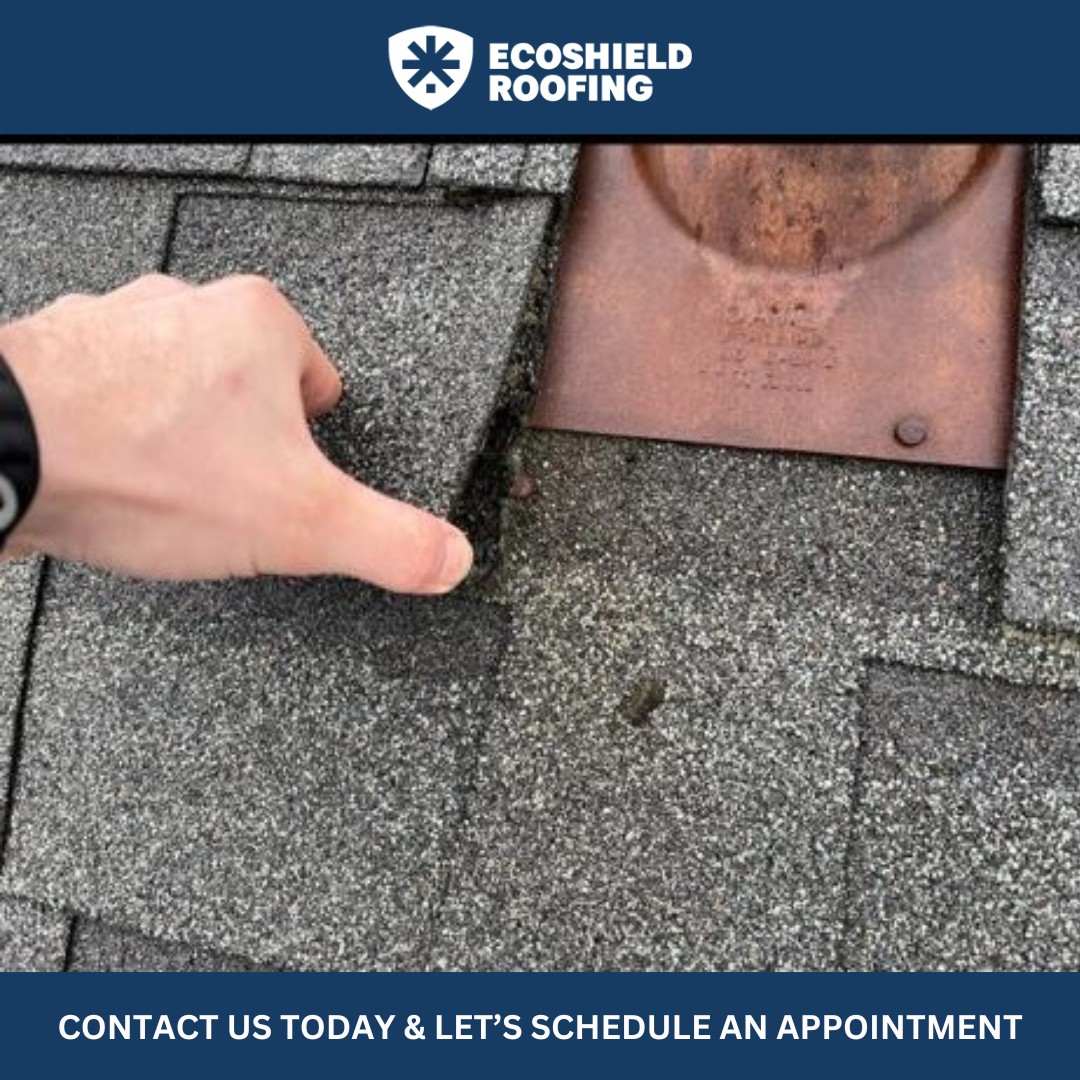 EcoShield Roofing tweet media