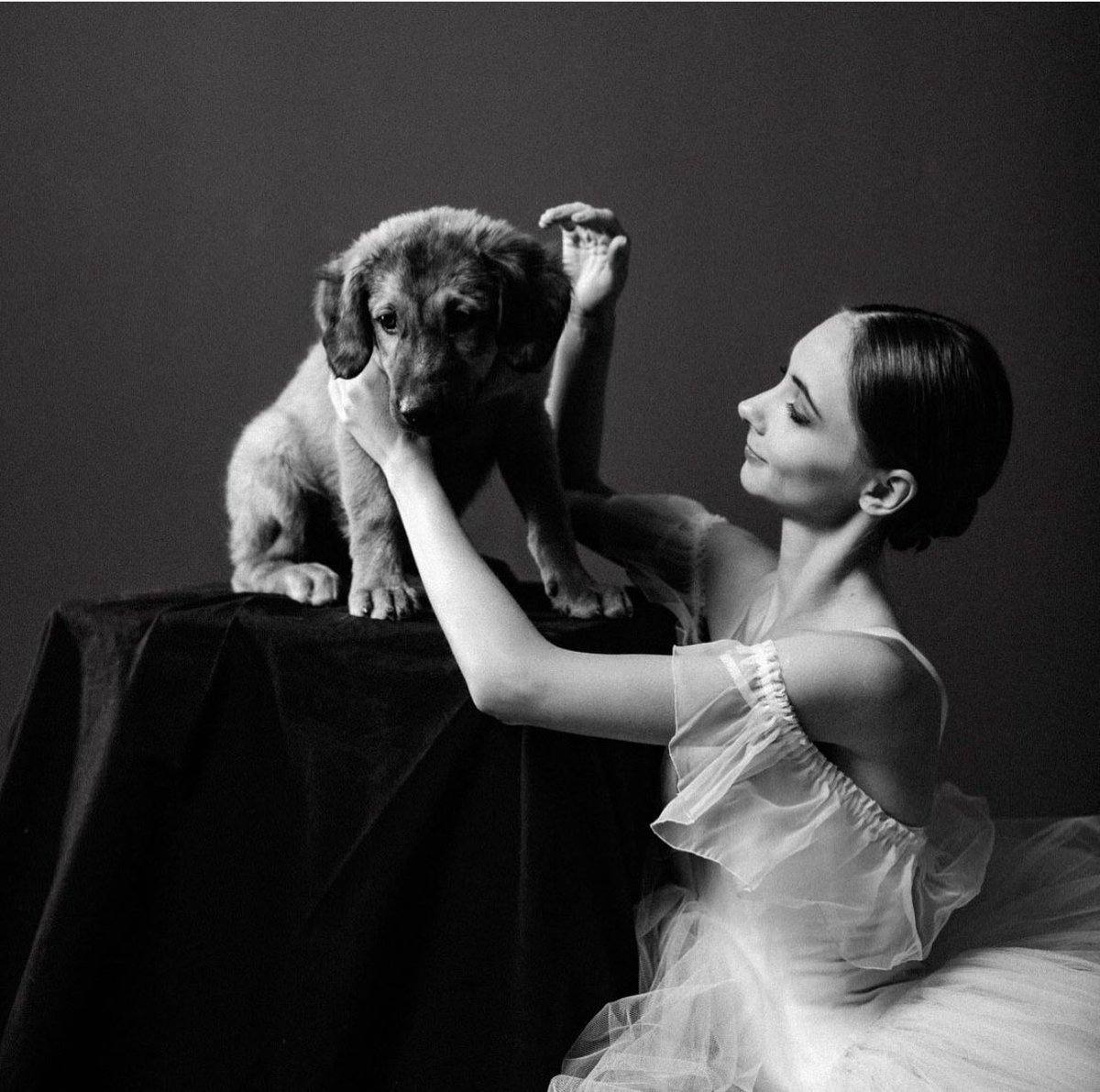 Happy Weekend 
Anna Muromtseva &amp; Sage 
Dancers Love Dogs