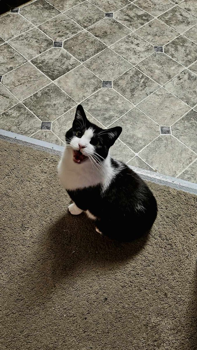 Holy Donut Revival Hour tweet media