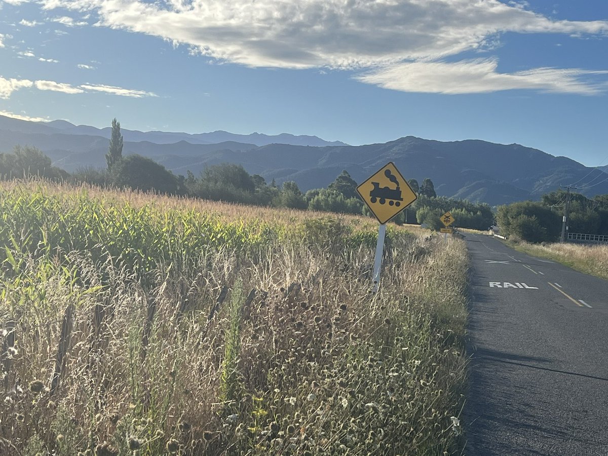 Trevor_FJ's tweet photo. Been a hot day at the orchard and cidery. Working on a new area for apple pressing. #cidery #teepeecider #apples #aotearoa #carterton #dalefield #taratahi #wairarapa https://t.co/Ziq0zbhE9E