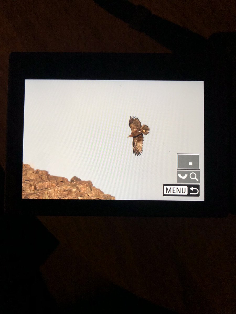 Mitch Turnbull (@bramblemediauk) on Twitter photo Testing my new <a href="/CanonUKandIE/">Canon UK and Ireland</a> R5C <a href="/wextweets/">Wex Photo Video</a> <a href="/SaudiVision2030/">رؤية السعودية 2030</a> in the wild and liking what I see! Testing my new <a href="/CanonUKandIE/">Canon UK and Ireland</a> R5C <a href="/wextweets/">Wex Photo Video</a> <a href="/SaudiVision2030/">رؤية السعودية 2030</a> in the wild and liking what I see!