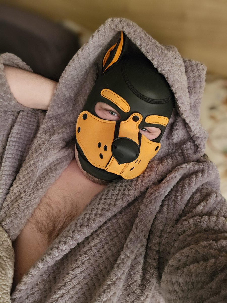 Pup_Leox's tweet photo. Woof morning! 🥰🐶🐾🧡

#grommr #pupplay #pupcommunity #pupgay #gay #bi #gainer #BHM    #bear https://t.co/VDMOEm0H4n