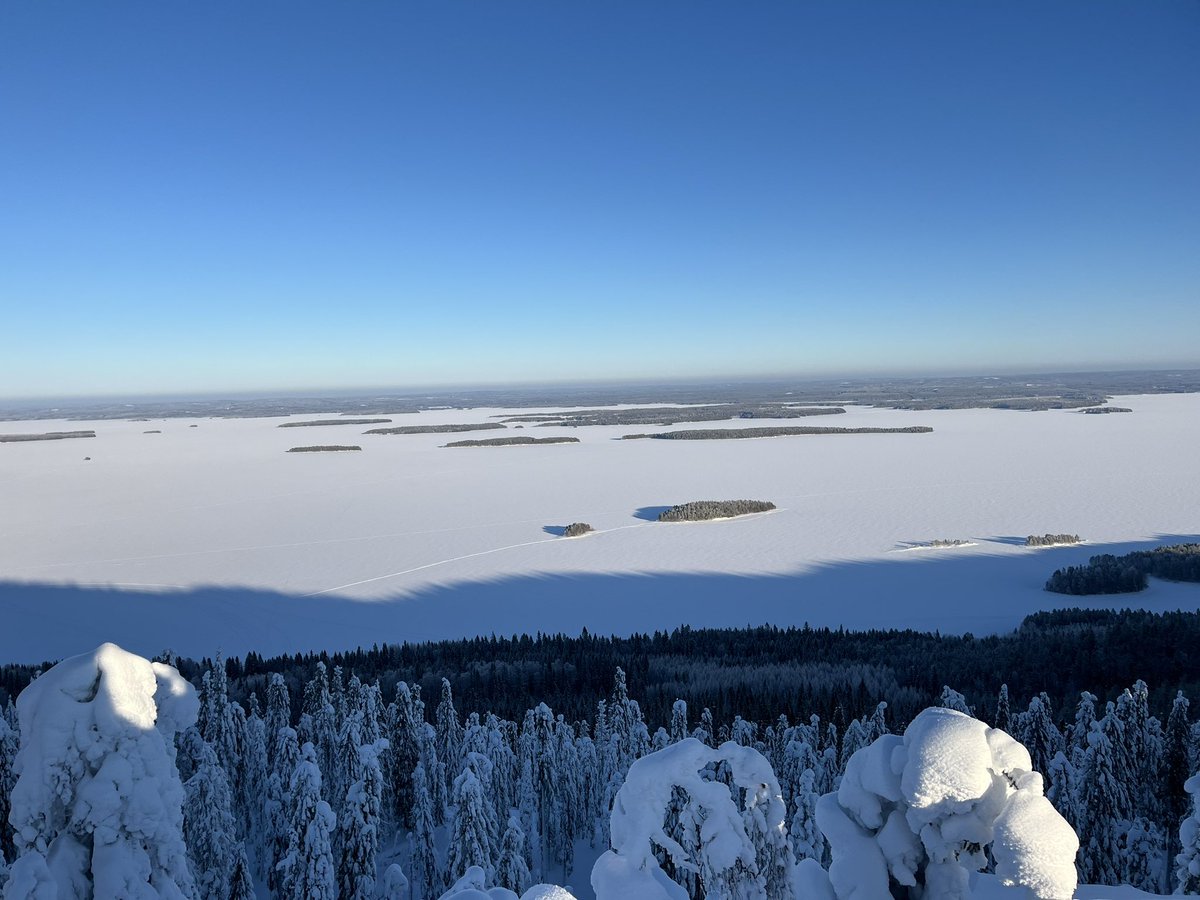 henrikjpersson's tweet photo. RESDINET meeting in Koli, Finland. Workshops, presentations, knowledge exchanges, networking. #resdinet #slu #remotesensing #forestdamage https://t.co/NNl0CFtpsq