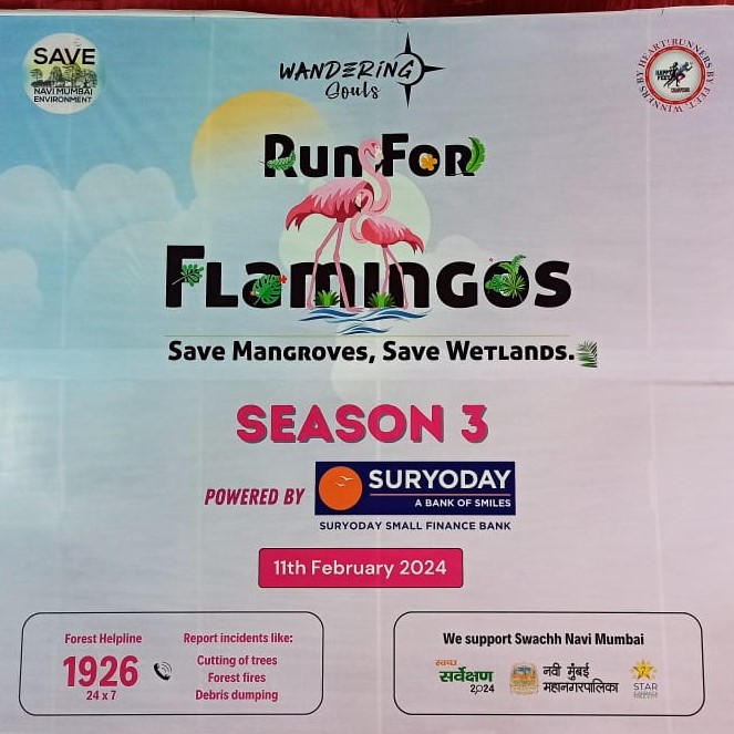 earthdayasia's tweet photo. EDN-India was one of many partners of the 'Run for Flamingos' marathon in Navi Mumbai with over 2000 enthusiastic participants! ๐โโ๐ฆฉ
The shared commitment to environmental causes resonated strongly with the runners.
#RunForFlamingos #savemangroves https://t.co/DCsFrK48VI