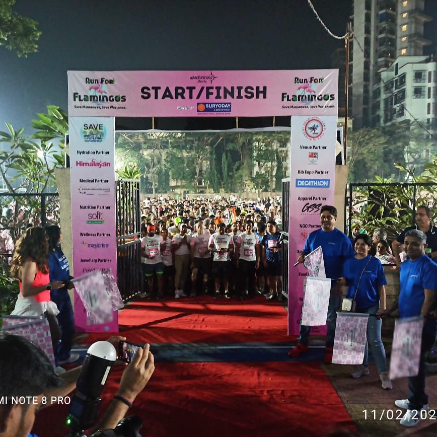 earthdayasia's tweet photo. EDN-India was one of many partners of the 'Run for Flamingos' marathon in Navi Mumbai with over 2000 enthusiastic participants! ๐โโ๐ฆฉ
The shared commitment to environmental causes resonated strongly with the runners.
#RunForFlamingos #savemangroves https://t.co/DCsFrK48VI