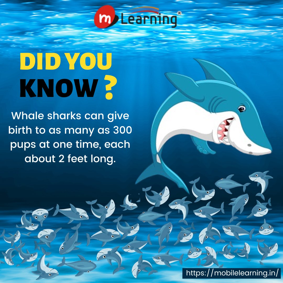 Did You Know ??
.
.
#MLearningIndia #MLearning #fact #basicknowledge #newpost #post #postoftheday #didyouknow #explore #explorepage #foryou #sharkfacts #shark