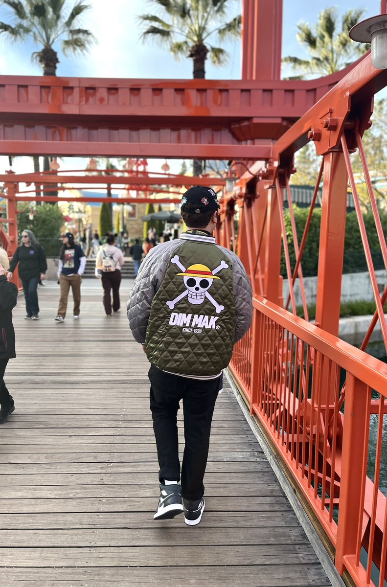 JoseBernalF6's tweet photo. DCA 🐉🎡🎢  #onepiece https://t.co/LPqw7g2CRo