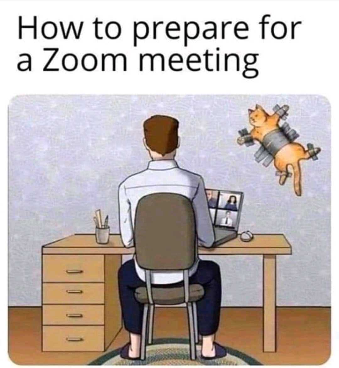 positivityofx's tweet photo. How to prepare for a zoom meeting https://t.co/yRaBYkN5Cr