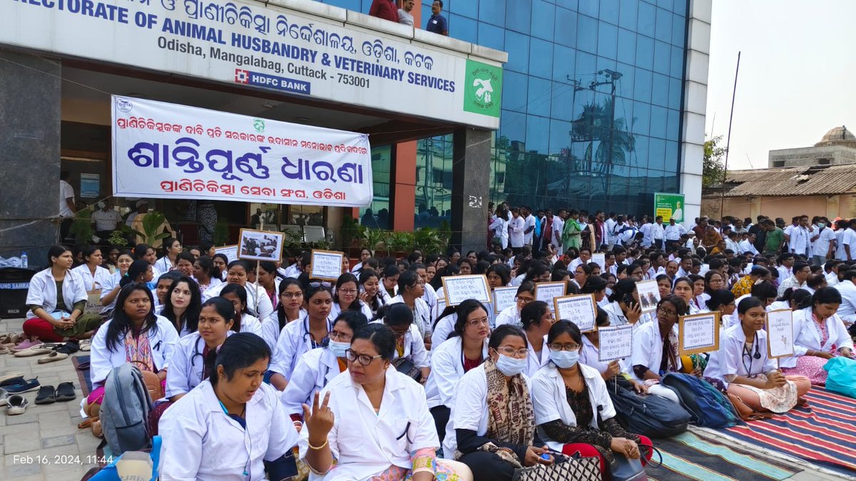 OvsaKandhamal's tweet photo. #Day30: #Veterinarians of #Odisha are #protesting in front of the Directorate for fulfillment of their genuine demands. #OVSA @CMO_Odisha @SecyChief @farddept @dahvsodisha @rajaaswain @MoSarkar5T @Dept_of_AHD @Vkpandianfancl1 @otvnews @the_hindu @IndianExpress @timesofindia https://t.co/ZXhwz4eOOr