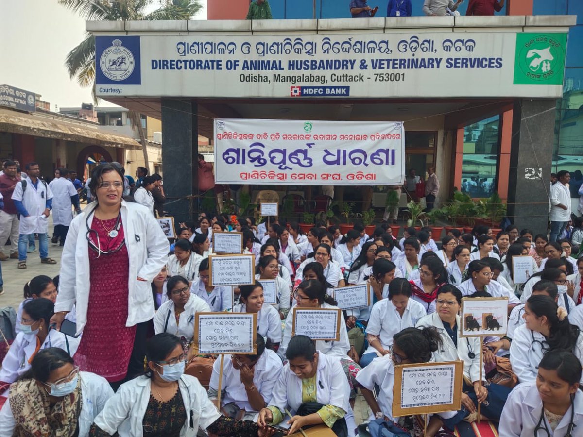 OvsaKandhamal's tweet photo. #Day30: #Veterinarians of #Odisha are #protesting in front of the Directorate for fulfillment of their genuine demands. #OVSA @CMO_Odisha @SecyChief @farddept @dahvsodisha @rajaaswain @MoSarkar5T @Dept_of_AHD @Vkpandianfancl1 @otvnews @the_hindu @IndianExpress @timesofindia https://t.co/ZXhwz4eOOr
