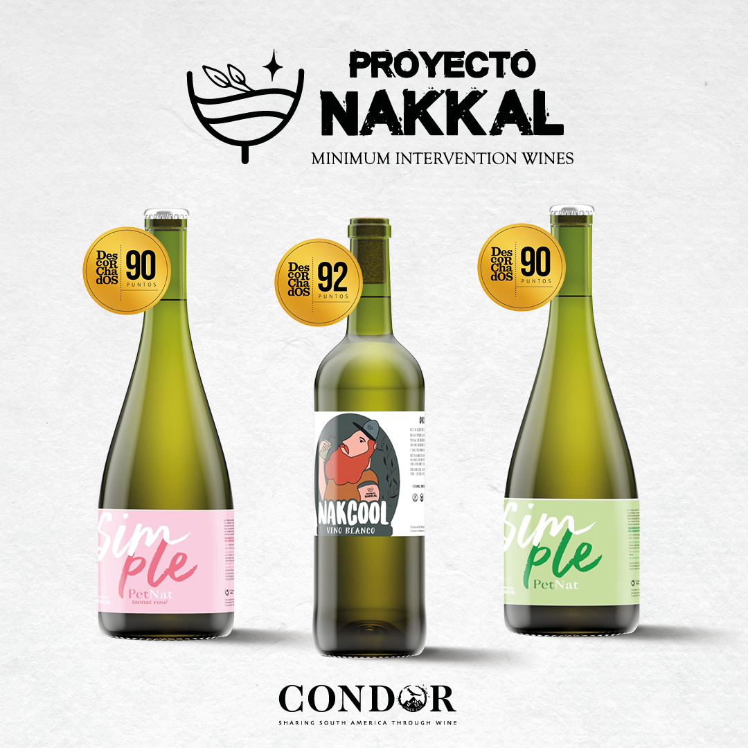 👏 Congratulations to Nakkal Wines in #Uruguay 🇺🇾 on excellent scores for their latest vintages in @guiadescorchado 2024 🥇

#condorwines #importer #wine #winelover #vino #winetasting #award #winesofuruguay #southamericanwines