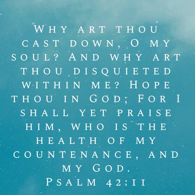 TanasTim's tweet image. 