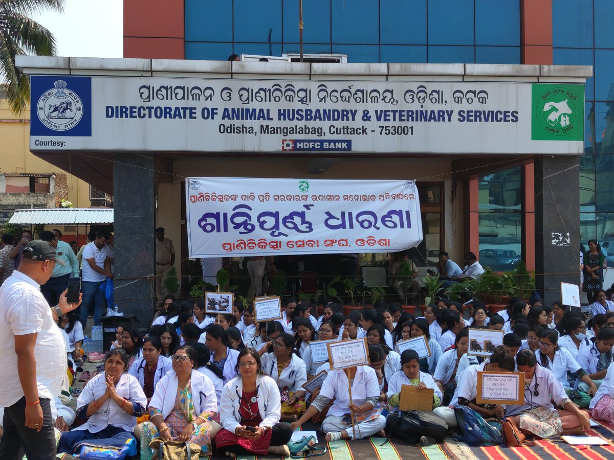 ovsacuttack's tweet photo. Peaceful protest of Veterinary Doctors in front of Directorate of Animal Husbandry and Veterinary Services, Cuttack due to negligence of government towards genuine demands of OVSA. #OdishaVetsOnProtest @CMO_Odisha @farddept @OVSA_ODISHA @rajaaswain @MoSarkar5T @Vkpandianfancl1 https://t.co/pWgPOeL2HM