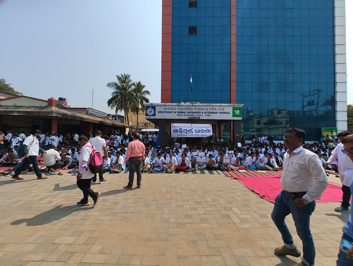 ovsacuttack's tweet photo. Peaceful protest of Veterinary Doctors in front of Directorate of Animal Husbandry and Veterinary Services, Cuttack due to negligence of government towards genuine demands of OVSA. #OdishaVetsOnProtest @CMO_Odisha @farddept @OVSA_ODISHA @rajaaswain @MoSarkar5T @Vkpandianfancl1 https://t.co/pWgPOeL2HM
