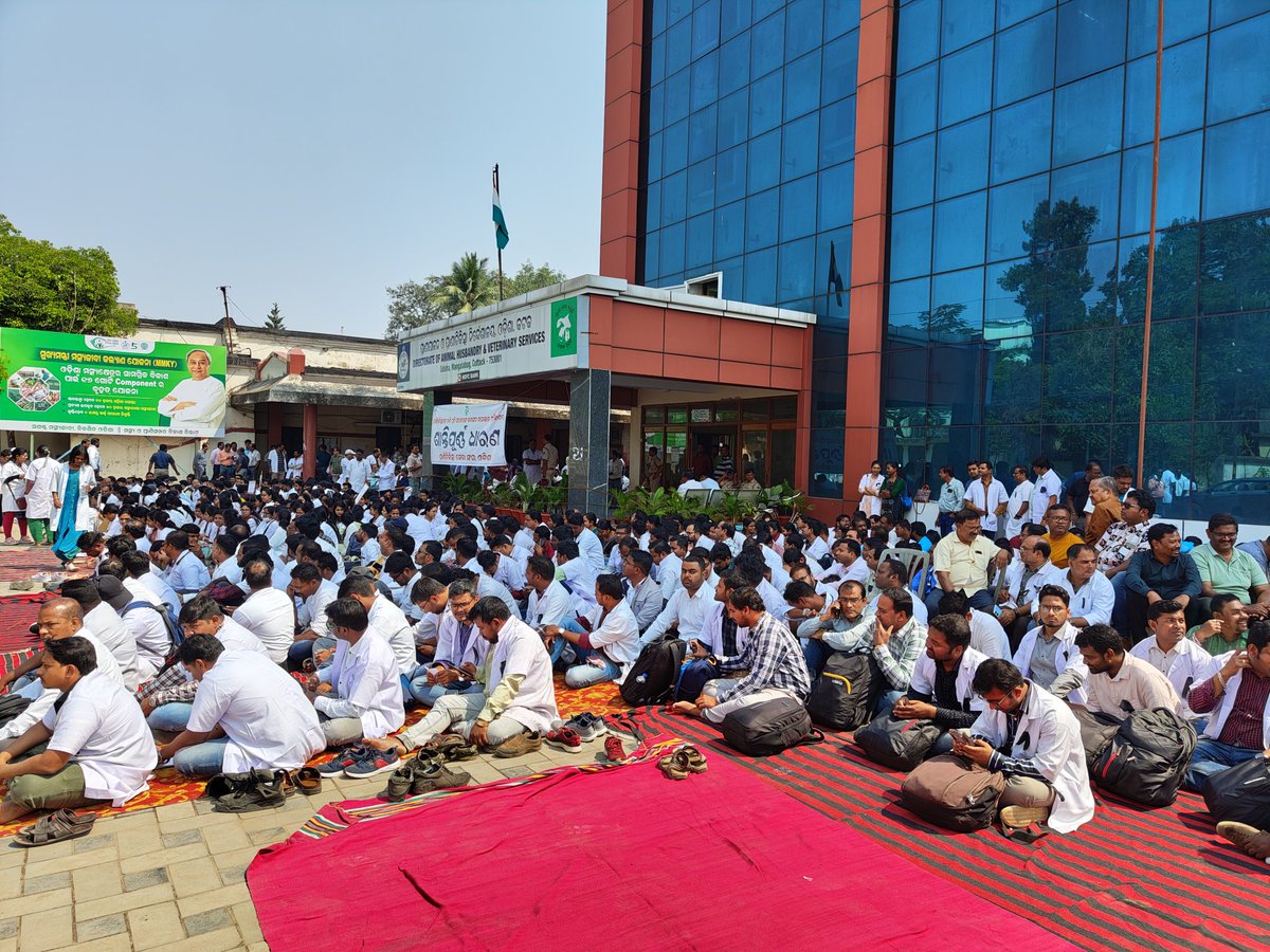 ovsacuttack's tweet photo. Peaceful protest of Veterinary Doctors in front of Directorate of Animal Husbandry and Veterinary Services, Cuttack due to negligence of government towards genuine demands of OVSA. #OdishaVetsOnProtest @CMO_Odisha @farddept @OVSA_ODISHA @rajaaswain @MoSarkar5T @Vkpandianfancl1 https://t.co/pWgPOeL2HM