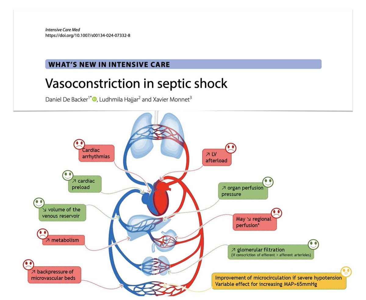 Vasoconstriction in septic shock 🧫generalized dilation in #sepsis 🩸impact on regional perfusion/microcirculation 💉which vasopressor? Different physiological/non-vasopressor properties should be considered to personalize therapies ⏱️when to start/stop? 🔓rdcu.be/dyL2x