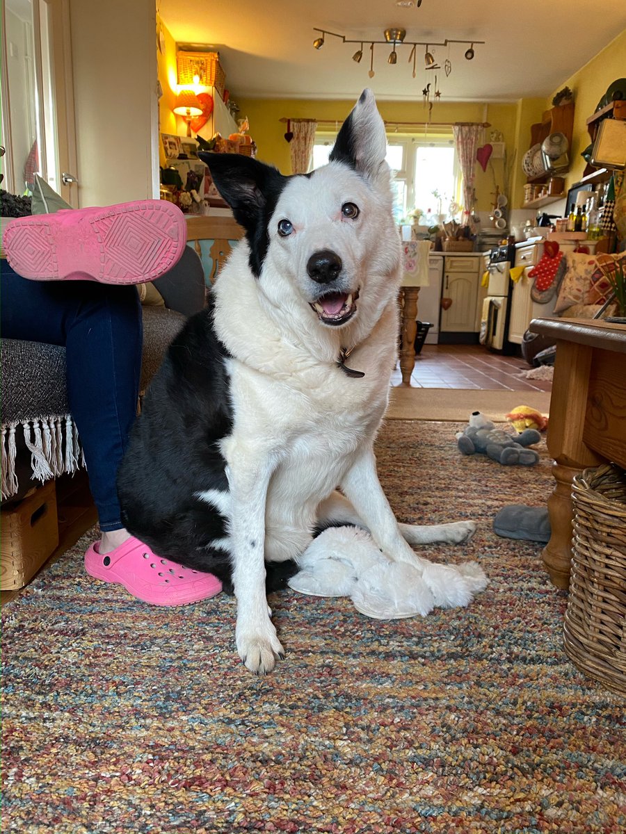 MillieKarma💙 tweet media