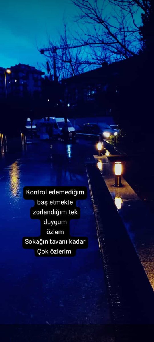 funda ilgezdi (@fundailgezdi) on Twitter photo 