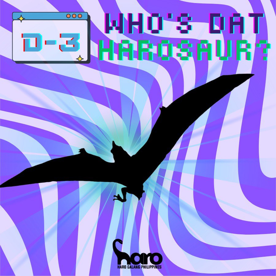 harogalangph's tweet photo. [D-3]

Join us as we count down to our #1 cute dinosaur's special day. Today, see if your dino knowledge will help you survive through the prehistoric eras! Can you guess these dino silhouettes? 

Comment or quote repost your answers! 

#PLUUSHaro #HARBday #HaROARingBirthday https://t.co/fEK6wz4VcR