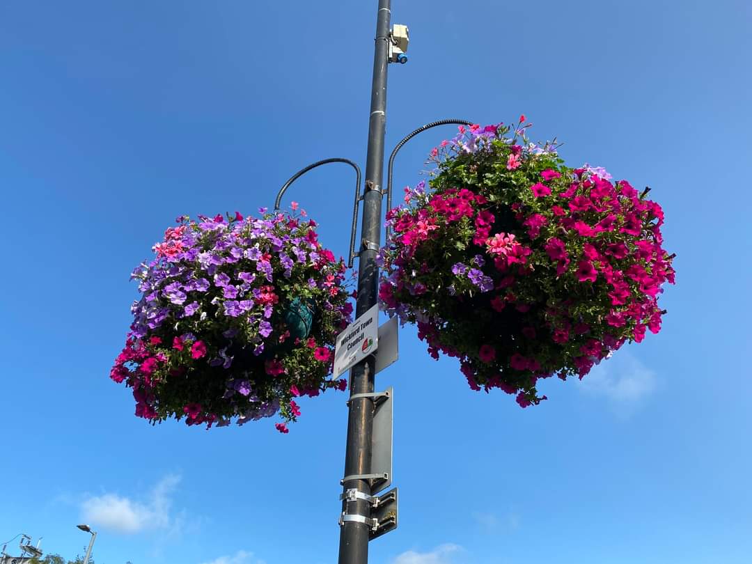 A fresh look for WiB this morning. So we have 30 baskets sponsored, but more available. £120 to sponsor, you'll get a dedicated basket with signage, social media acknowledgement and details of all sponsors shared in Wickford news magazine. #wickfordinbloom 🌹 @Wickford_News