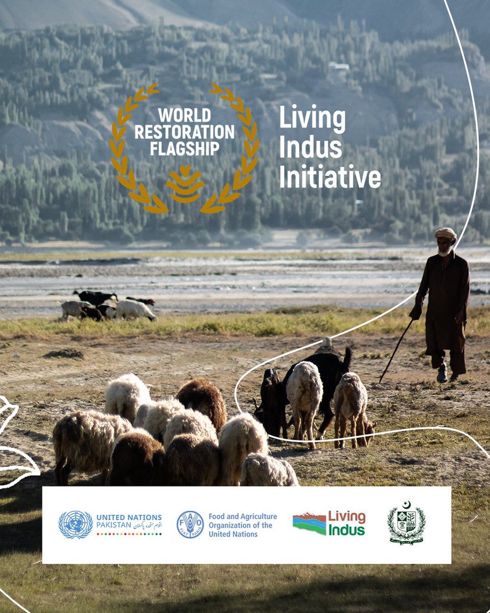 Living Indus tweet media