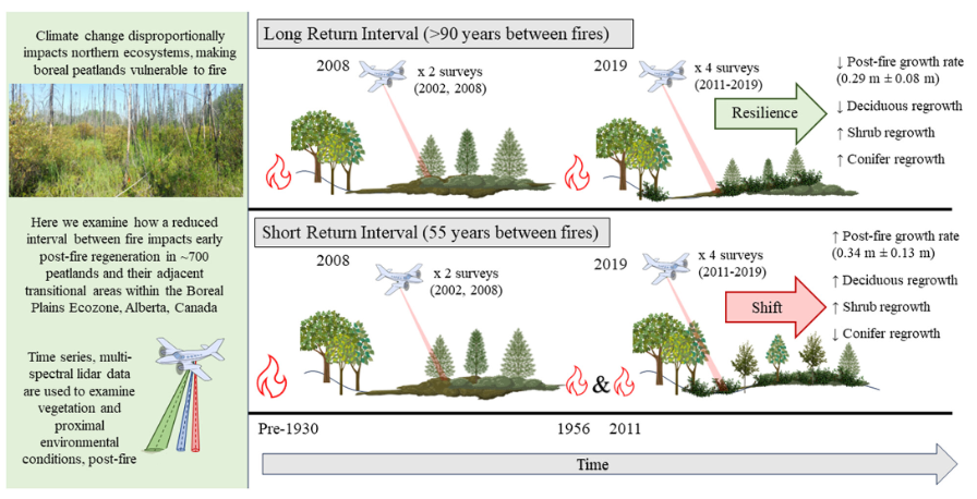 ErsPeat's tweet photo. Proud of @em_ajone who published the 2nd paper out of her MSc in @GlobalChangeBio! "Shortening wildfire return interval predisposes peatlands to more rapid vegetation growth and transition to forest cover" #LIDAR #wildfire @CanadaWildfire  Read it here: https://t.co/Gt1qQMOrTf https://t.co/aPOC3127yH