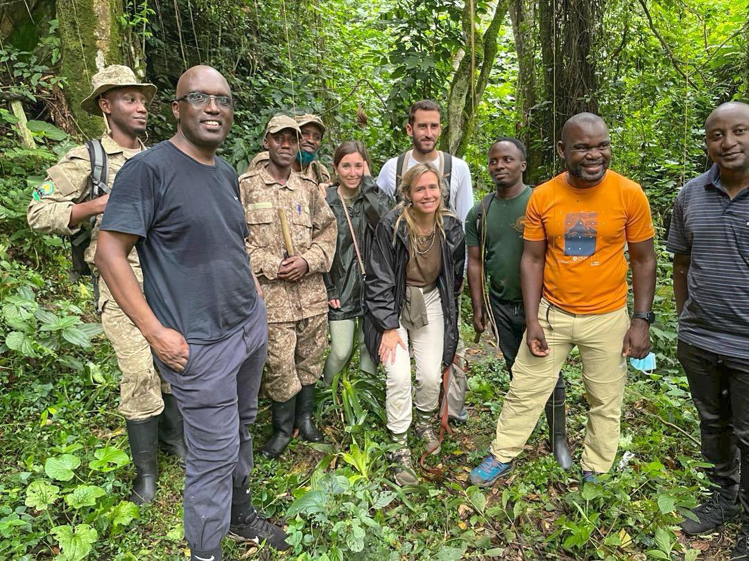 During a recent safari to #Bwindi Impenetrable Forest , southwest #Uganda, i had an exhilarating encounter with the majestic #MoutainGorillas 
A truly unforgettable experience, &amp; one of the many great natural heritages with potential to accelerate Uganda's dev't through #tourism