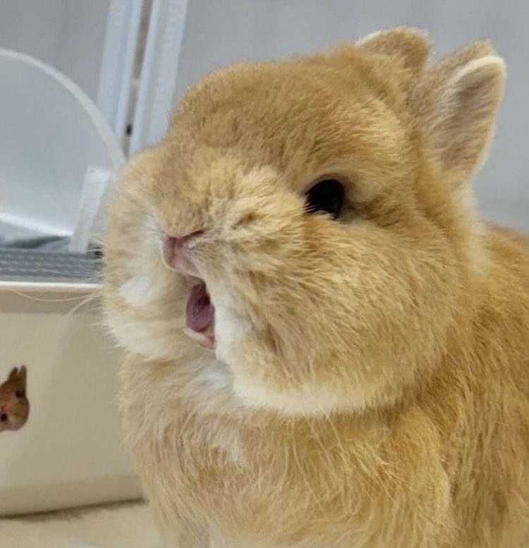 기냥 불러봐
에이요!
                                                                 AY-YO
                                                !!!!!!!!!!!!!!!!!!!!!!!!!!!