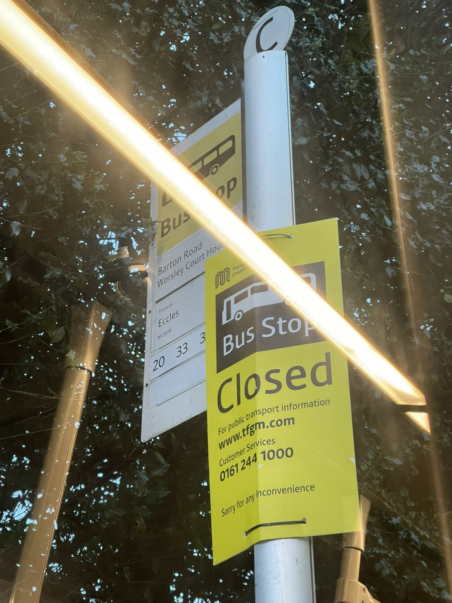 Charlotte Carless tweet media