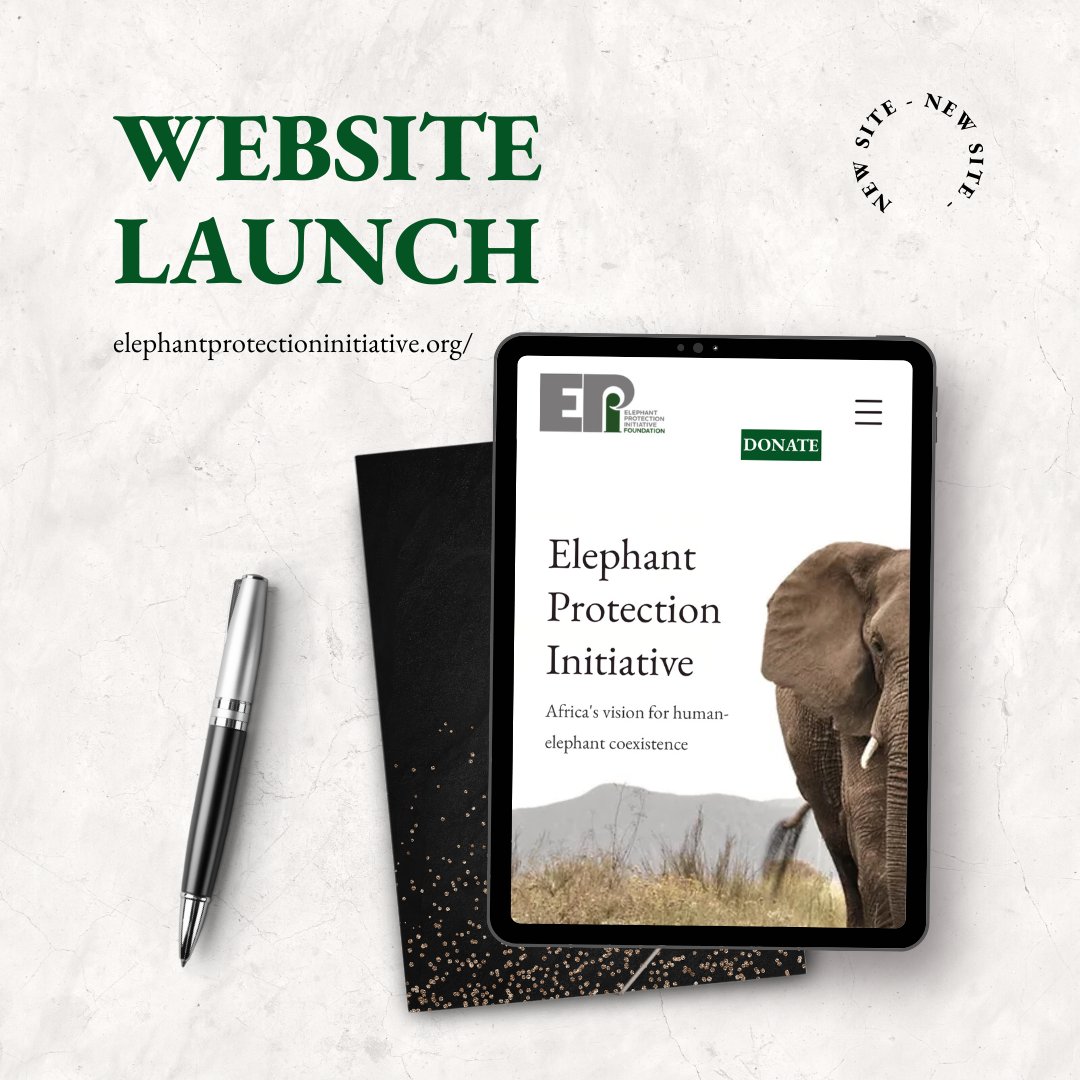 EPIAfrica's tweet photo. As we look forward to the next decade with new, biodiversity filtered lenses, we revamped our website to reflect the same. Explore our recently developed website at https://t.co/boE2wVM5rH
#10YearsofElephantConservation #EPIat10 https://t.co/RdHwbg1M2I