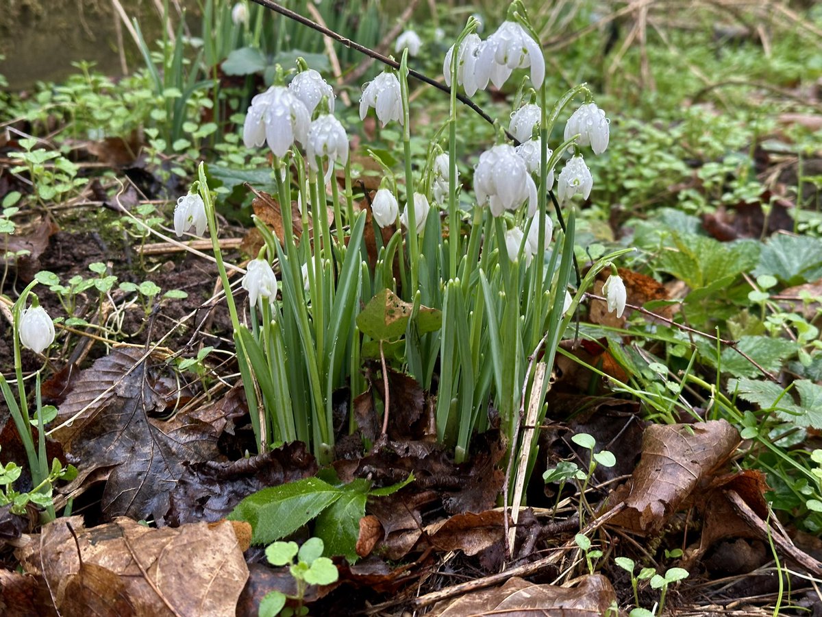 ATWAG Coventry tweet media