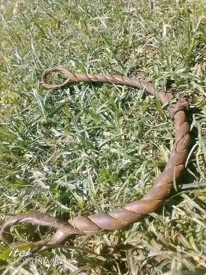 PAC CITY XTRA tweet media