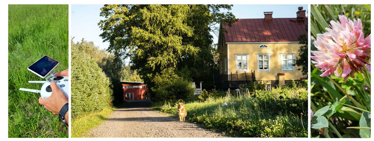 📢 Exciting news! 
🌿The @LukeFinlandInt in cooperation with <a href="/Luomutila/">Knehtilän</a>  Farm, organise the next #DTSW on Friday, 16 February 2024. 
🕰️The workshop will take place <a href="/Luomutila/">Knehtilän</a> Farm premises, Southern Finland.
👉d4agecol.eu/luke-helsinki-…
Stay tuned!