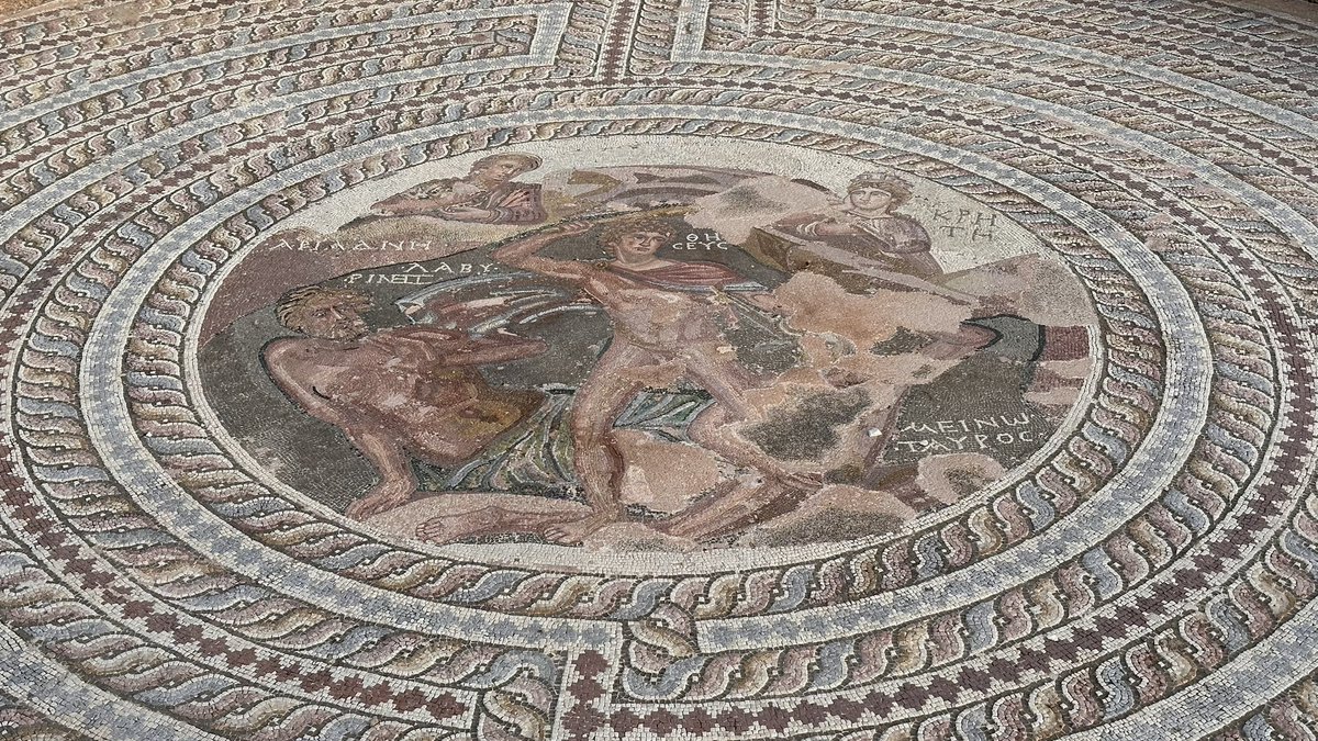 besides_obvious's tweet image. The magic of #Paphos 🌴

besidestheobvious.net/2024/02/16/the…