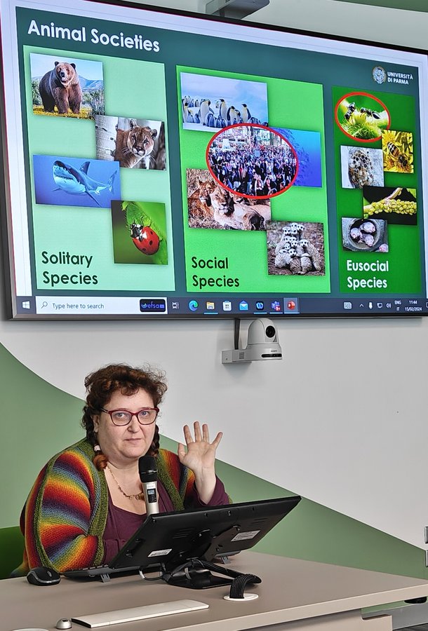 Plants_EFSA's tweet photo. Yesterday @EFSA_EU within an #Infosession we had the pleasure to learn about #biology, #ecology, #ethology and interesting facts of #InvasiveAnts from the talk of @CriCastracani Special focus was on #RedFireAnt https://t.co/DQAjXI9brz
