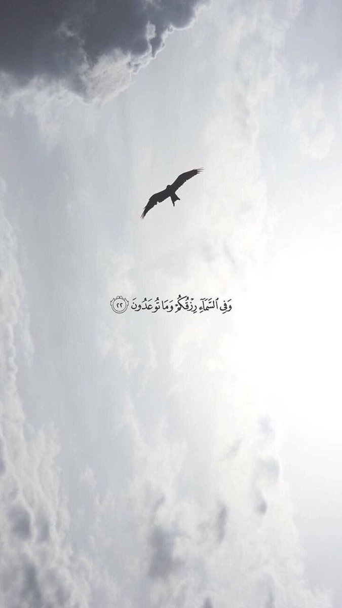 Dr.Abdullah tweet media