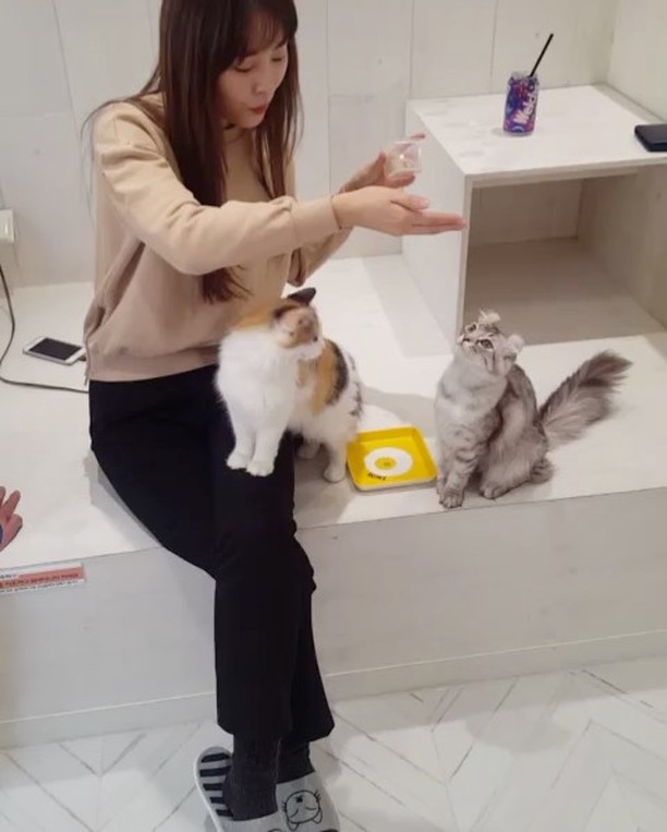 한᠎ ᱸ생ᱸ일 ᠎뿐ᱸ이​라⬝도ᱸ ﾞ좋 아ﾞ. ​살ﾠ고  ‍싶⬝다‍. ᱸ어차ᱸ피ﾠ 생ﾠ은‍ 하나᠎뿐 이고 그걸로 족하다. 네가 이 목숨을 주었으니 이 생 하나는 살아야겠다.