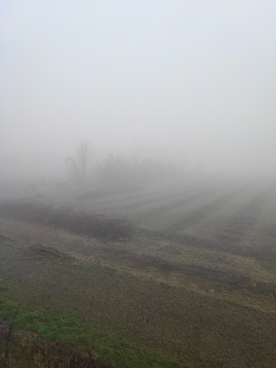 monicacesarato's tweet photo. Houston, we have a problem!
Another day of thick fog...as you can see or not.๐คช/ Un'altra giornata di fitta nebbia...come potete vedere o anche no.๐คช
#notvenice #fog #countryside #lifeofablogger https://t.co/hxspUPvegS