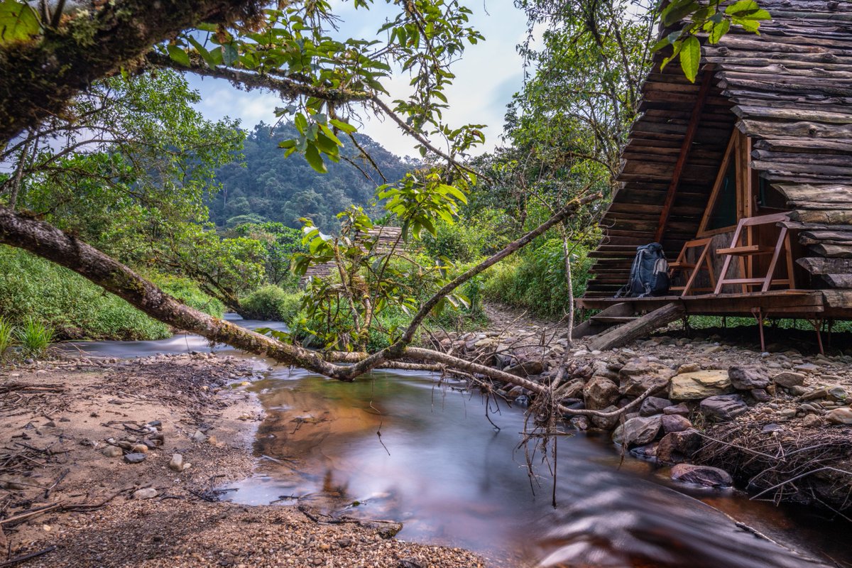 Cyinzobe 3-day trail: A combination of comfort, hike and  beautiful scenery.  It allows hikers to enjoy the magnificent view of  13km2-Kamiranzovu swamp and its mighty waterfall along the park's west boundary. visitnyungwe.org or call +250788317027 for booking &amp;reservation