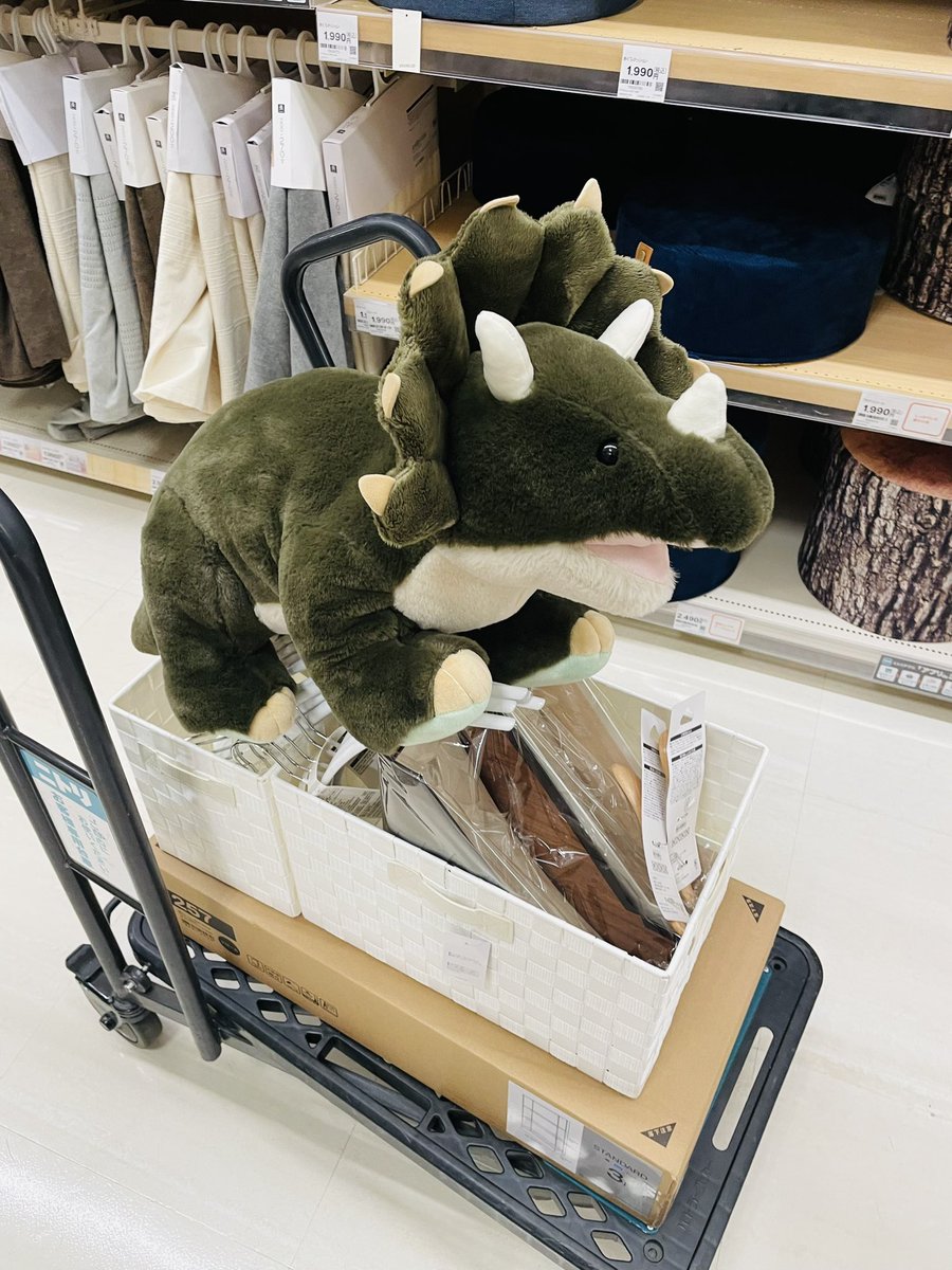 Po_t_ofu's tweet photo. やっぱり売り物だったみたいで店員さん走って持ってきてくれた https://t.co/KdtHTShJV3