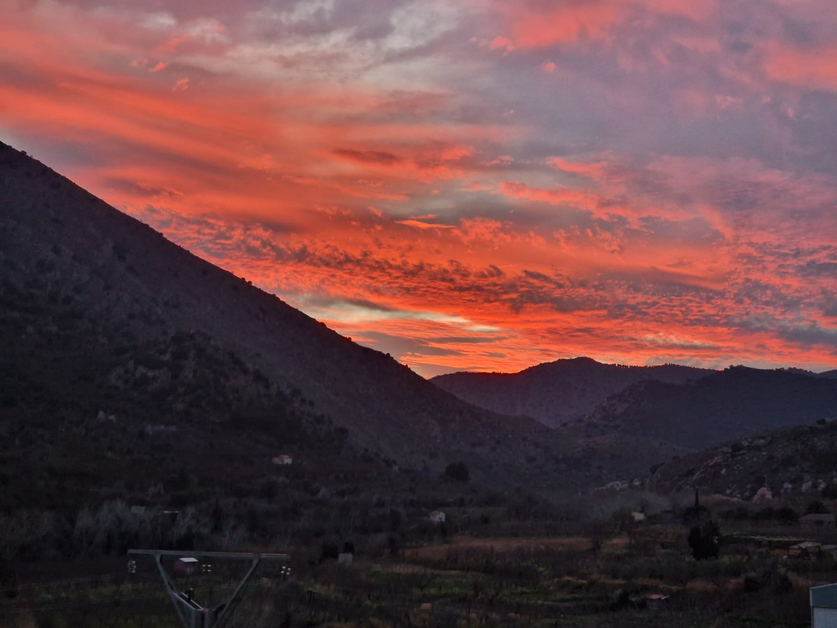 📍 Paracuellos de la Ribera

📸 Marisa y Nico

#EstaEsMiTierraATV #fotodeldía <a href="/aragontv/">Aragón TV</a>
