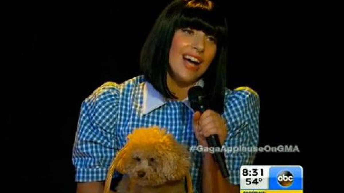 dandeliong tweet media